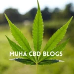 MUHA CBD Blogs - Cannabis leaf background with white text logo